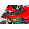 Ilmberger Carbon Tank Cover, Left Side / Airchannel Cover for the Ducati Multistrada 1200 DVT '15 / Enduro '16